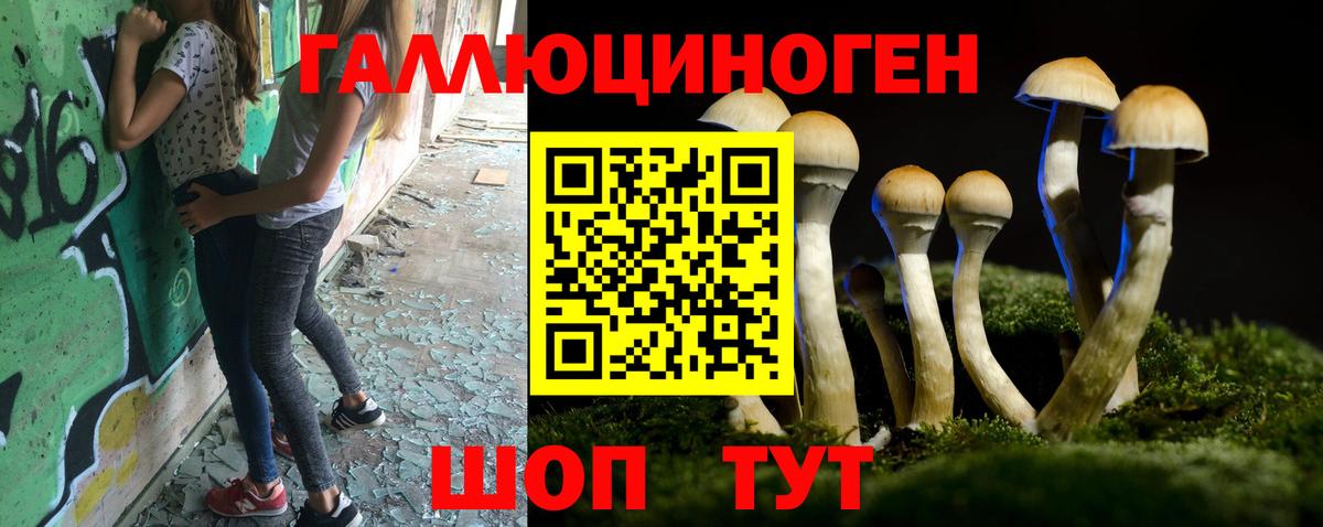 Галлюциногенные грибы GOLDEN TEACHER Фрязино