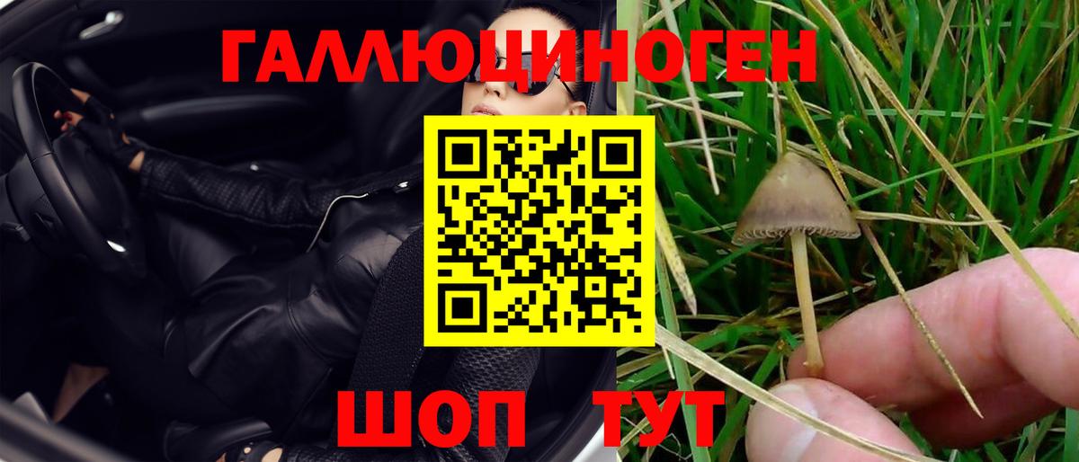 Галлюциногенные грибы Psilocybine cubensis  Вход с VPN  Фрязино 